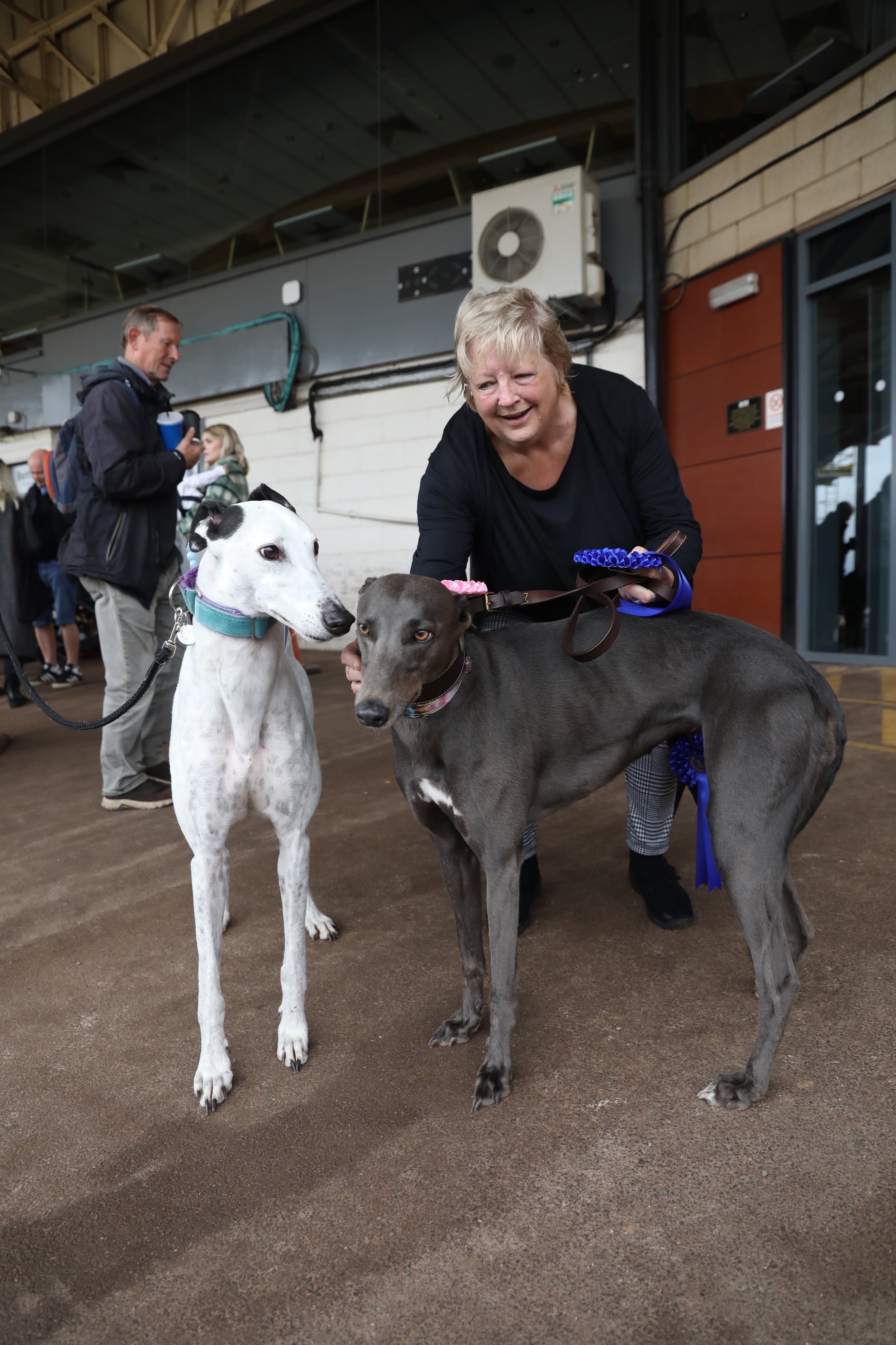 Sheffield Retired Greyhounds Dog Show (October 1st 2023) image 10